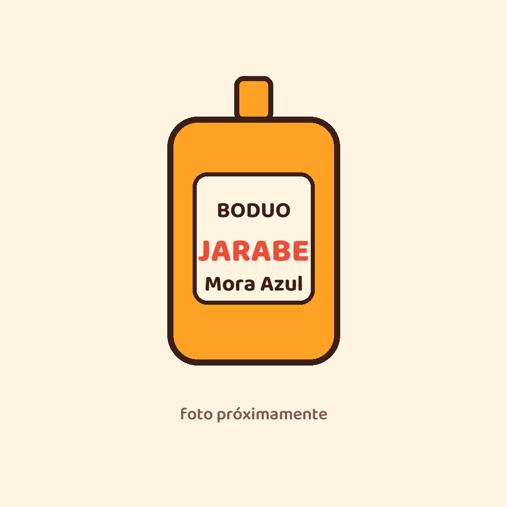 [JBOD-MOR-1202] Jarabe Sabor Mora Azul Boduo 2LT